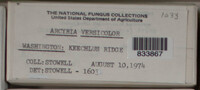 Image Associated With the Occurence